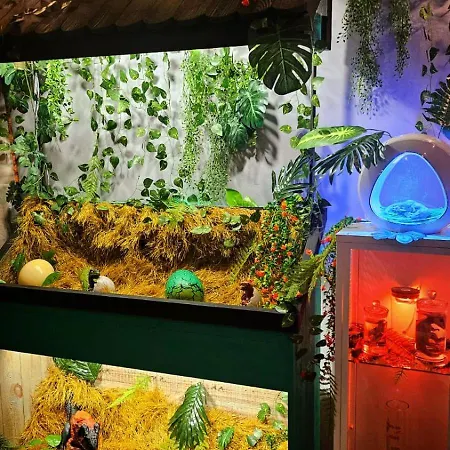 Jurassic Lodge, Le Repaire Des Dinosaures * Rosnay (Marne)